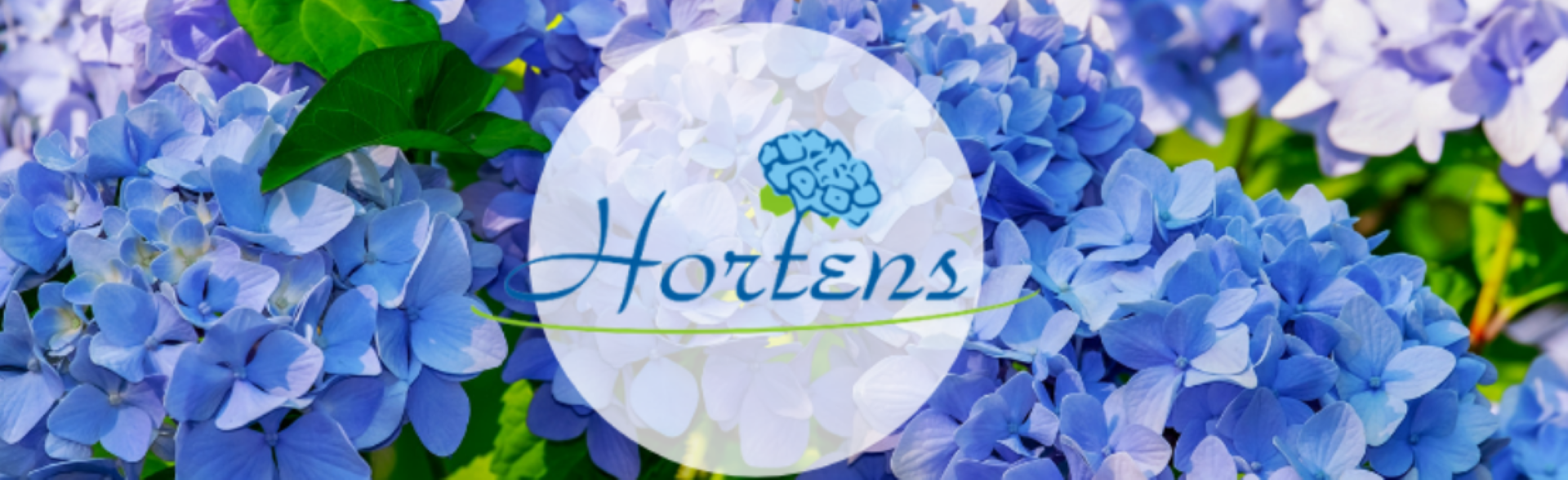 fabricante de velas mayoristas de flores artificiales figuras de yeso Polonia